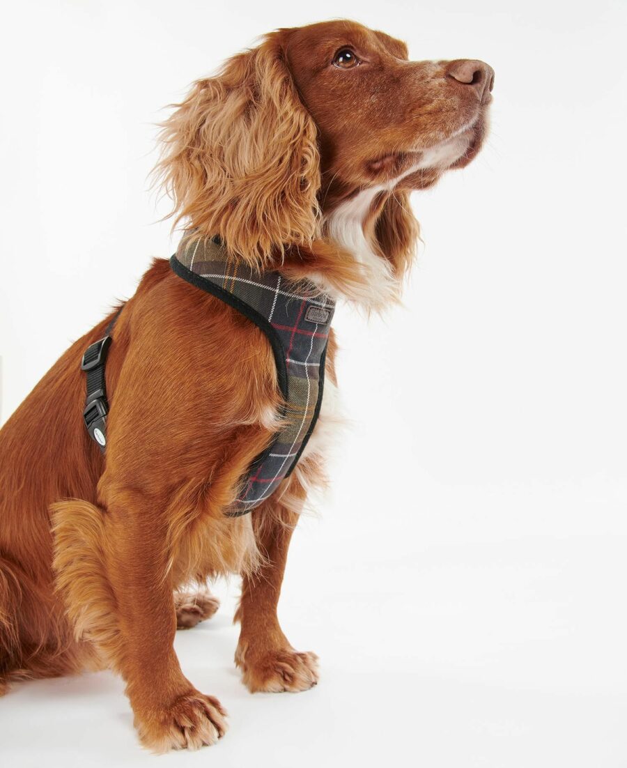 Barbour Tartan Dog Harness: Classic Tartan