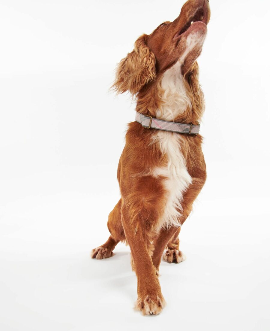Barbour Reflective Tartan Dog Collar: Taupe / Pink